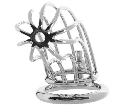 Prisoner Cock Cage - Stainless Steel