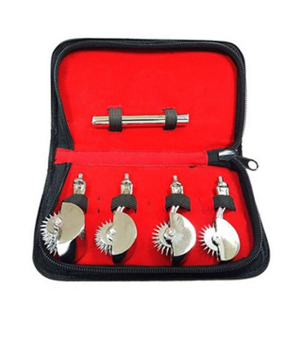 Rouge Stainless Steel 4 Pinwheel Set - Silver
